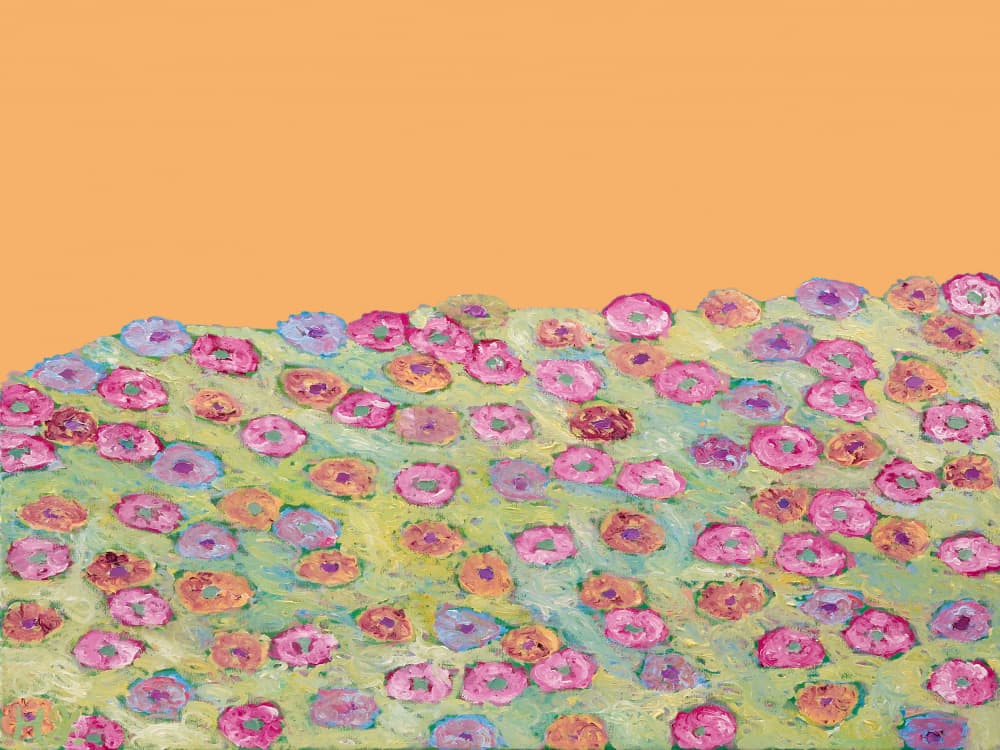 Colorful Flower Field by Helen Joynson — canvas wall art