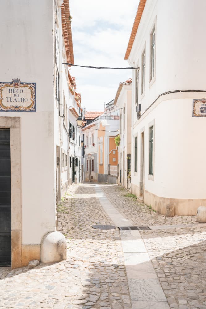 Charming Portuguese Alley by Henrike Schenk — canvas wall art