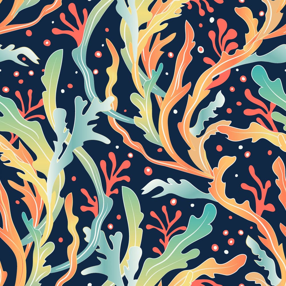 Colorful Seaweed Garden by Elena Dorosh — canvas wall art