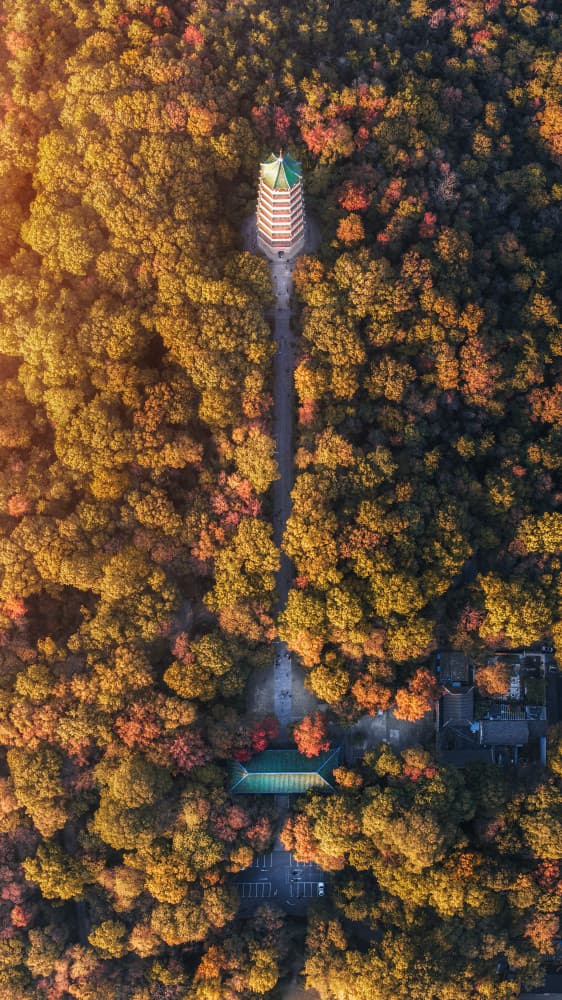 Colorful Autumn Pagoda by Yuan Cui — canvas wall art