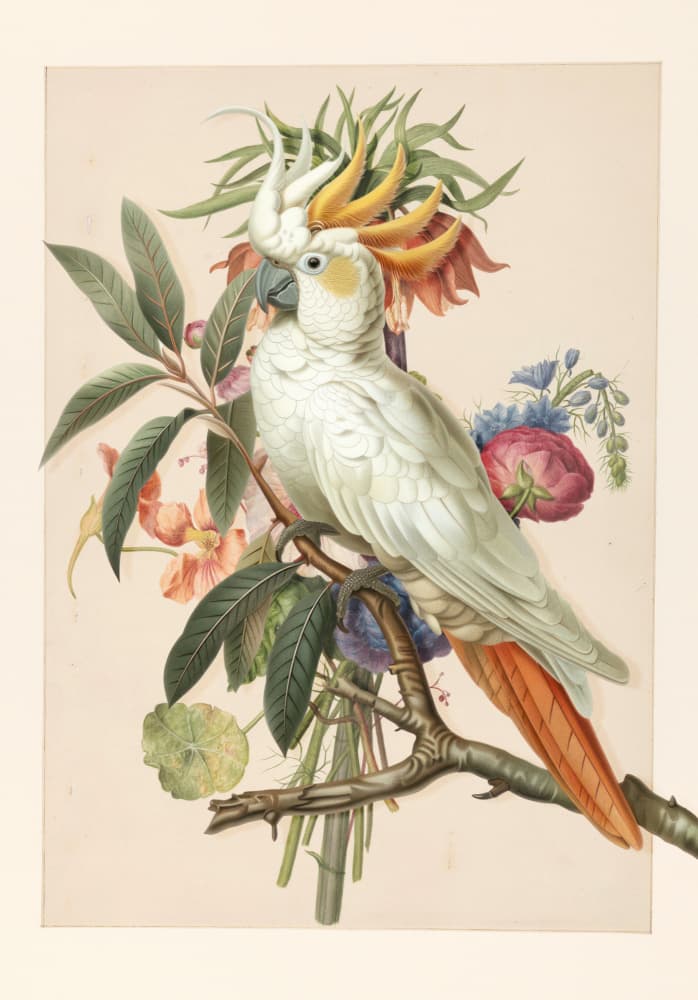 White Cockatoo with Flowers by Marja van den Hurk — canvas wall art