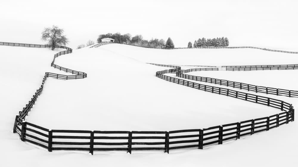 Winter Field Fences by Steven Zhou — canvas wall art