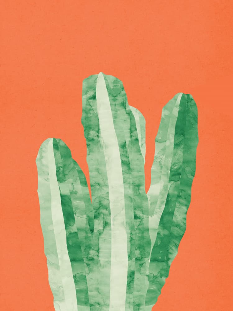 Modern Desert Cactus by Vitor Costa — canvas wall art