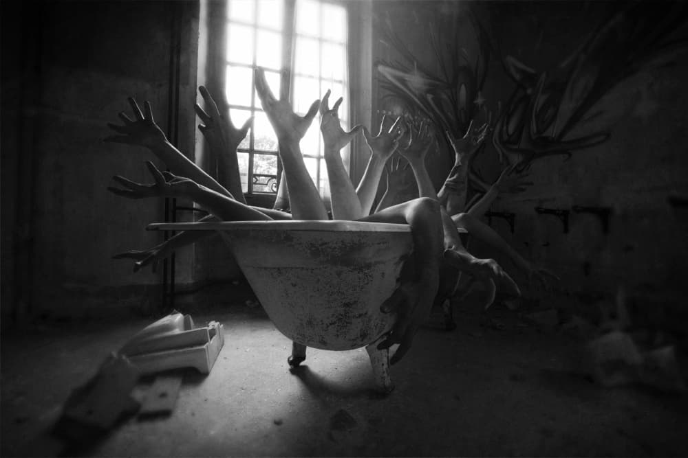 Antlered Bathtub Apparition by Sebastien DEL GROSSO — canvas wall art