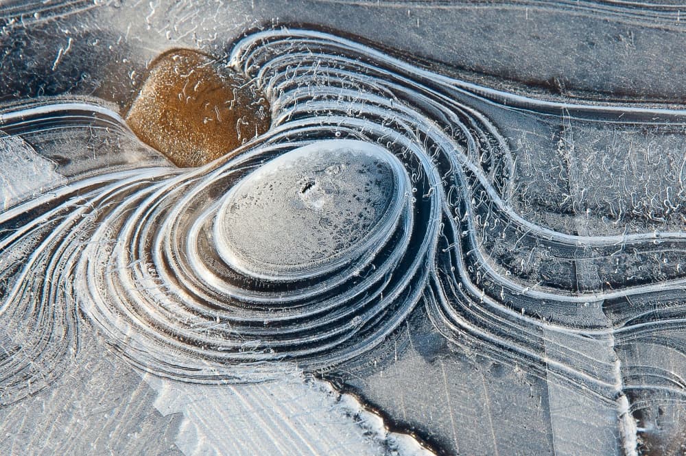 Frozen Organic Patterns by Piet Haaksma — canvas wall art