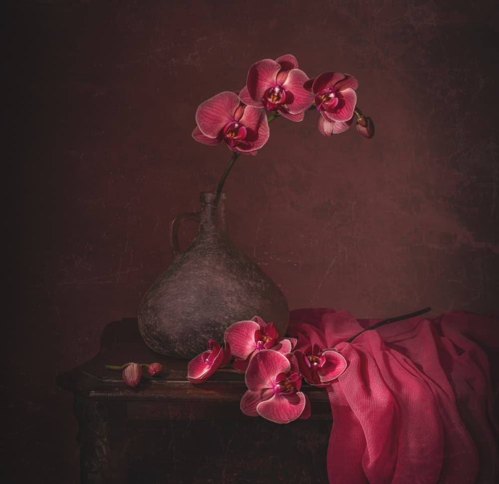 Dark Orchid Still Life by Margareth Perfoncio — canvas wall art