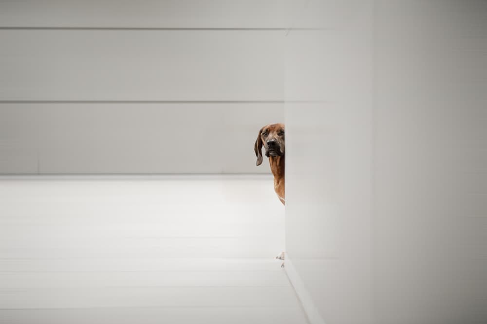 Minimalismus by Heike Willers — canvas wall art