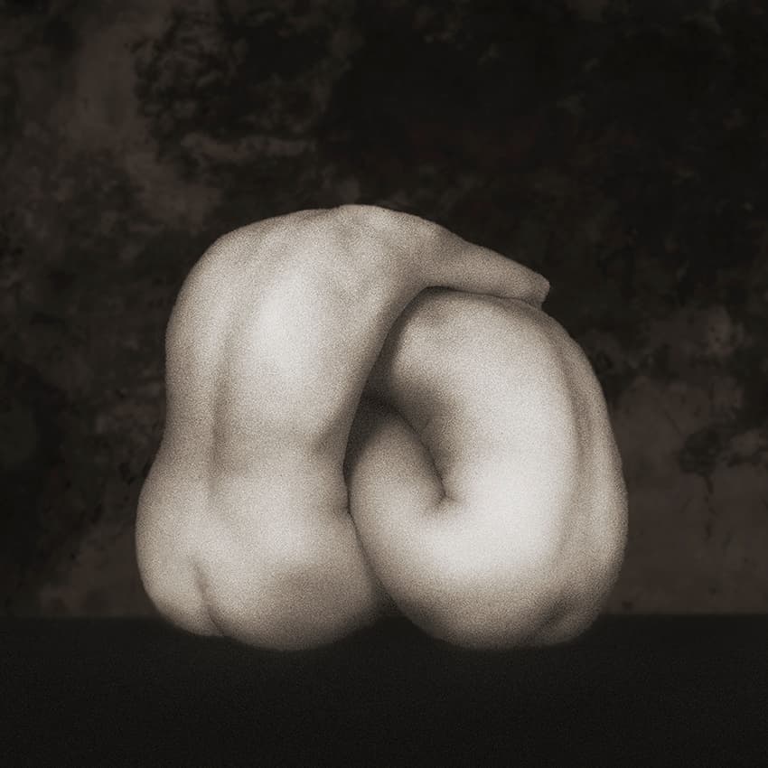 Serene Nude Form by Jan Donckers — canvas wall art