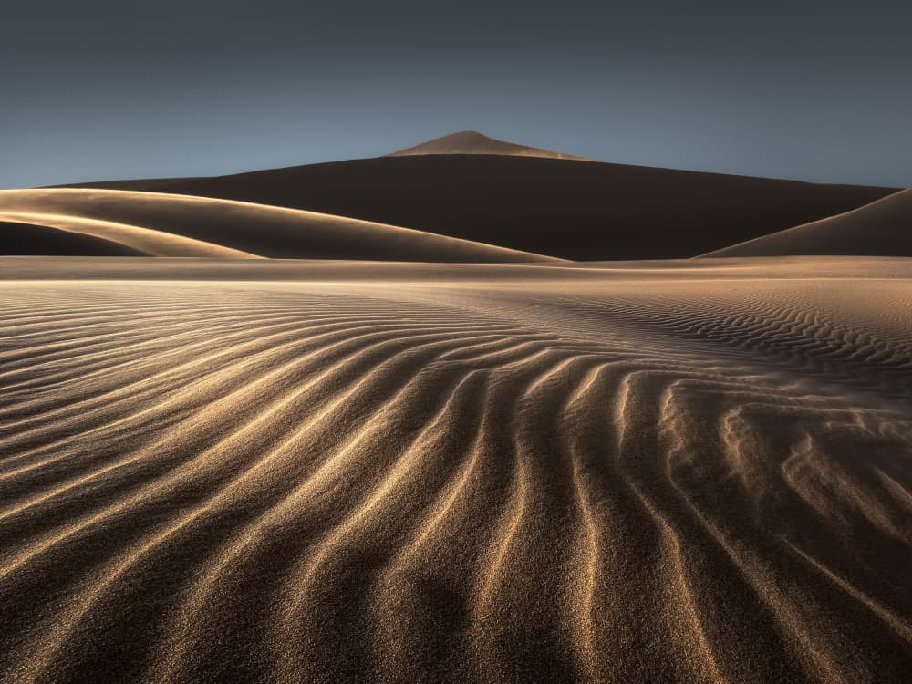 Golden Desert Ripples by NingYun Ye — canvas wall art