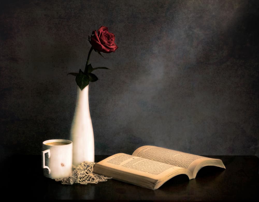 Rose Coffee Book Still Life by Jie Fischer — canvas wall art