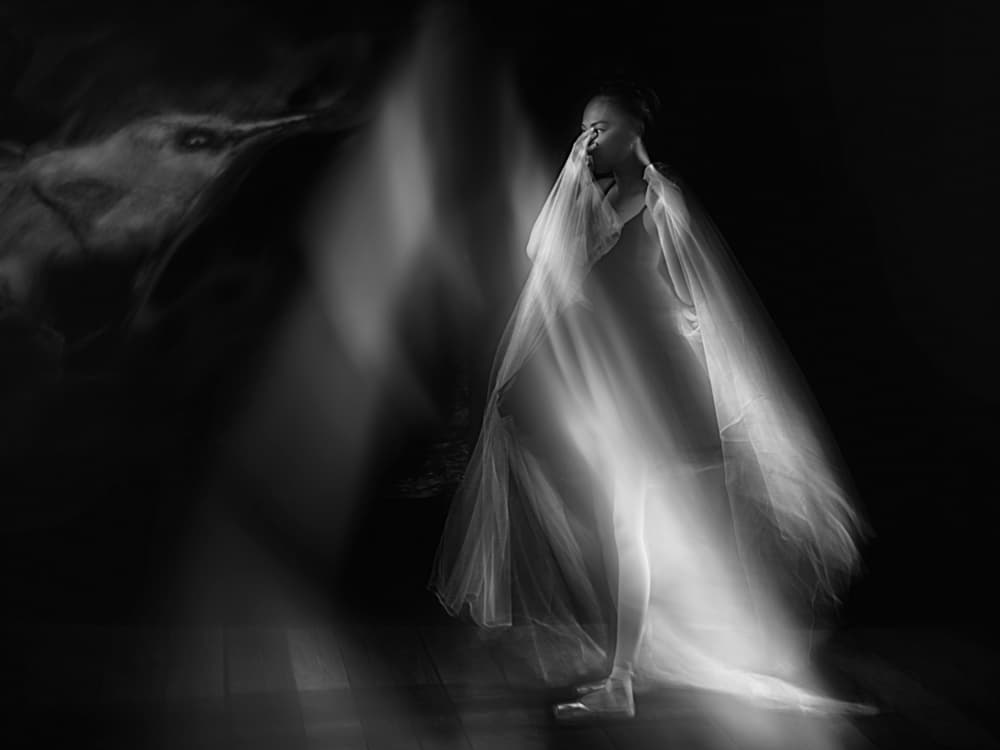 Ethereal Woman And Bird by Katarina Holmström — canvas wall art