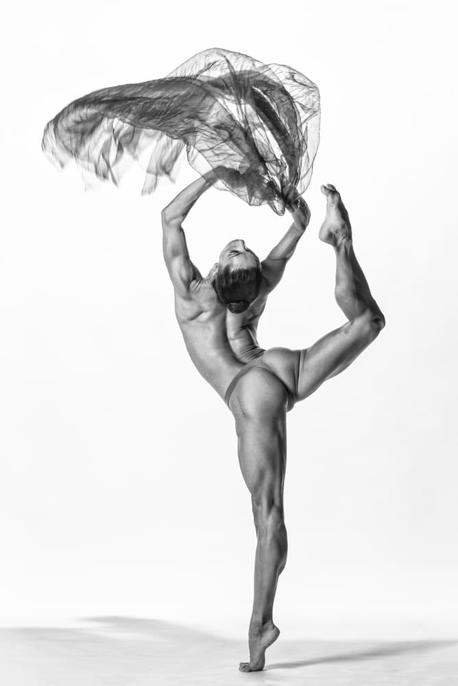 Graceful Dancer Movement by Luc Stalmans — canvas wall art