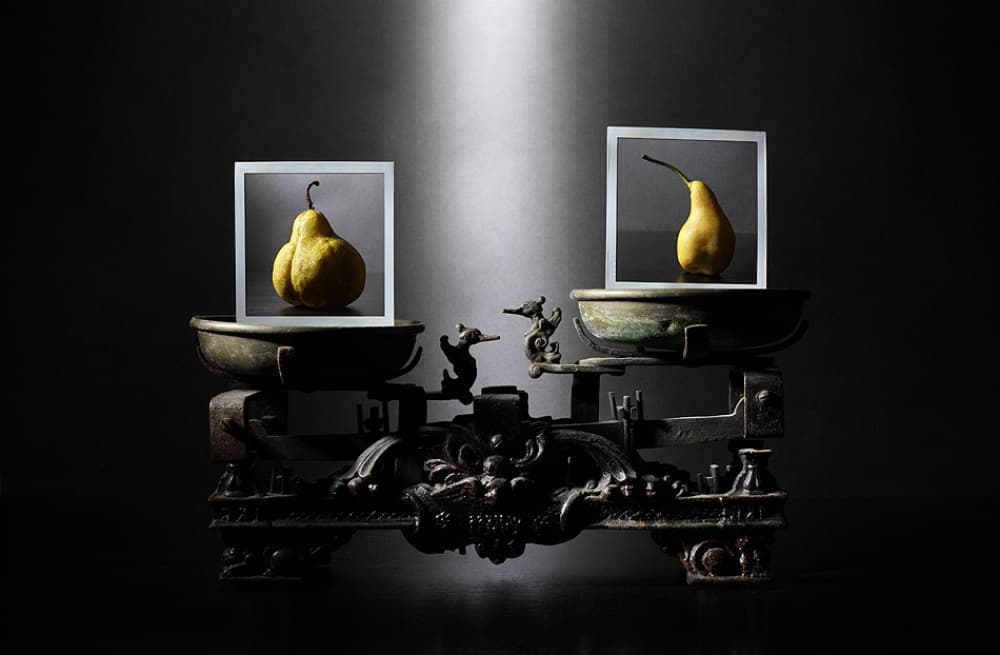 Contrasting Pears Balance by Victoria Glinka — canvas wall art
