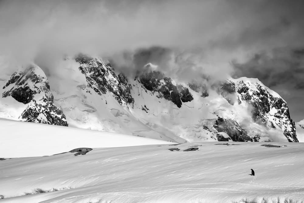 Snowy Mountain Solitude by Raymond Ren Rong Liu — canvas wall art