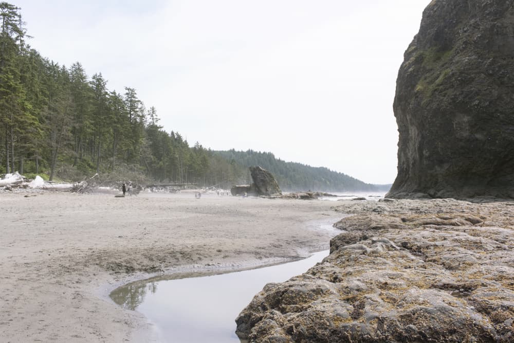 Pacific Northwest Coast by Lynann Colligan — canvas wall art
