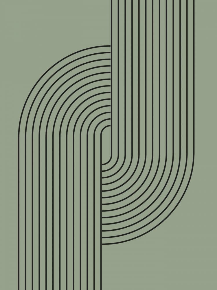Sage Green Flowing Lines by Jolly and Dash — canvas wall art