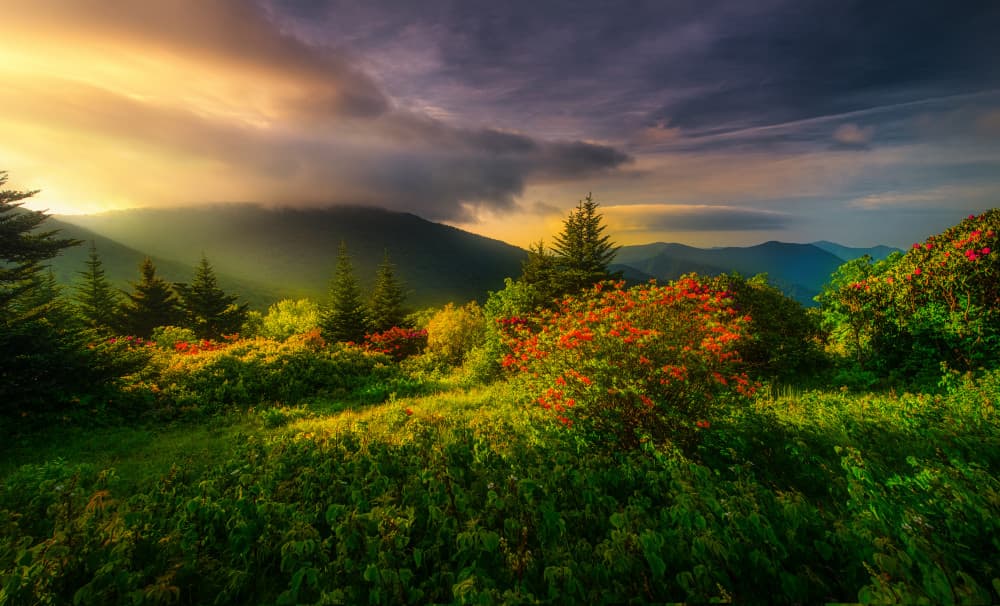 Golden Hour Mountain Valley by Jianping Yang — canvas wall art