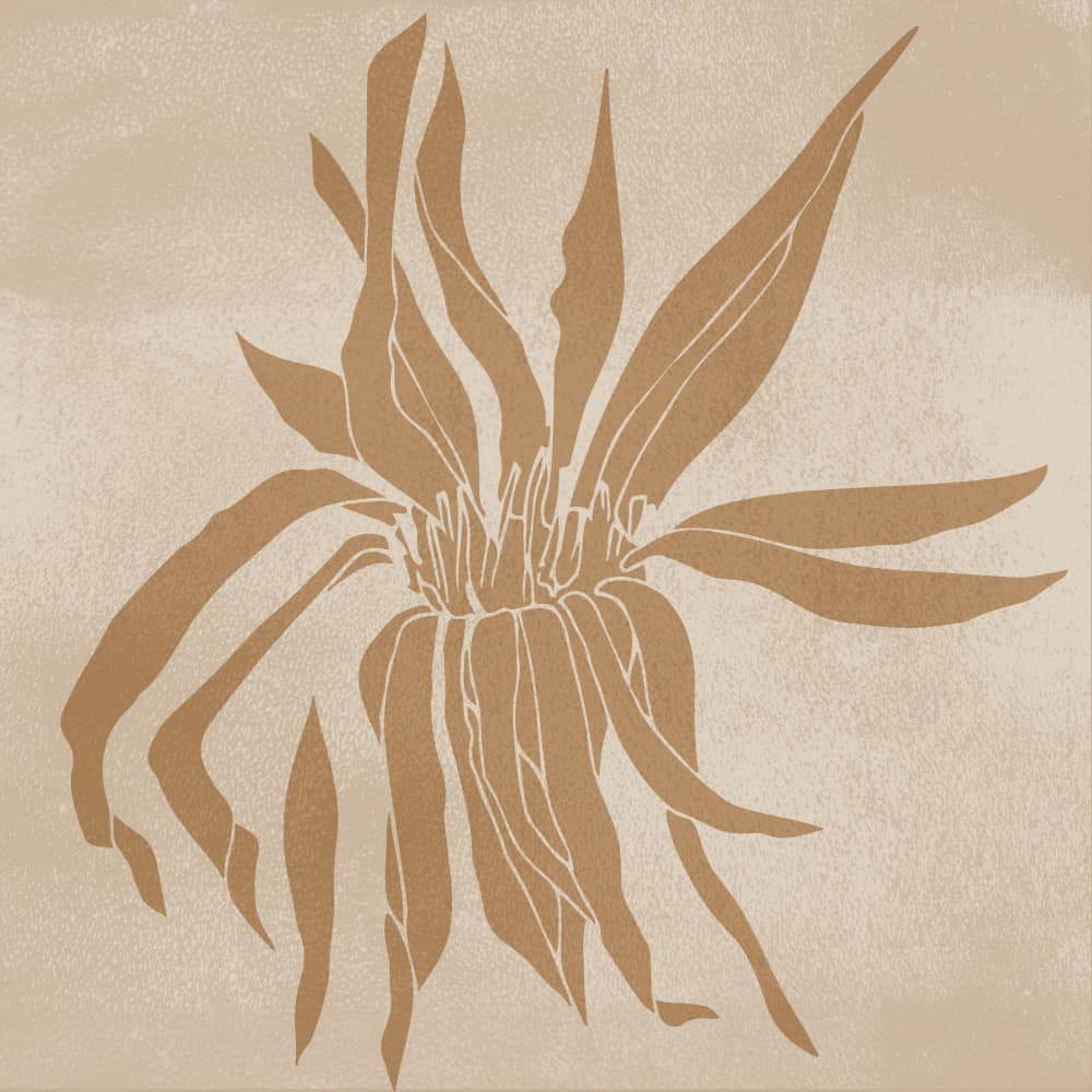 Warm Botanical Bloom by Dina Dankers — canvas wall art