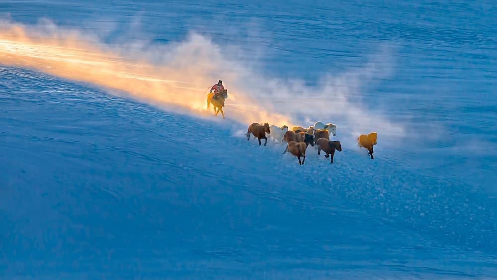 Wild Horses Golden Snow by Hua Zhu — canvas wall art