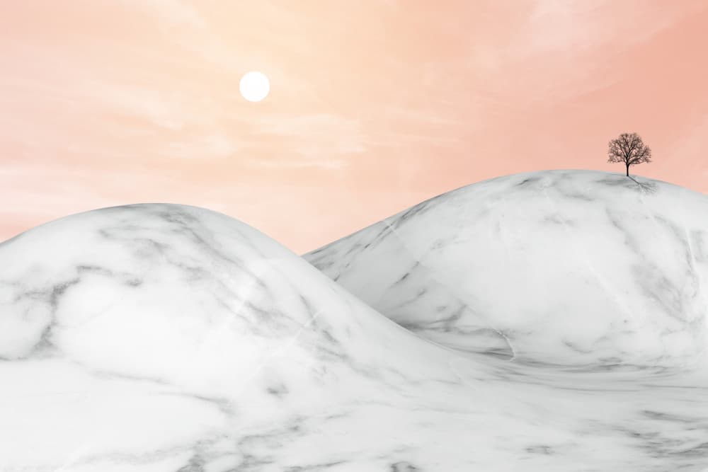 Solitary Tree Marble Hills by amini54 — canvas wall art