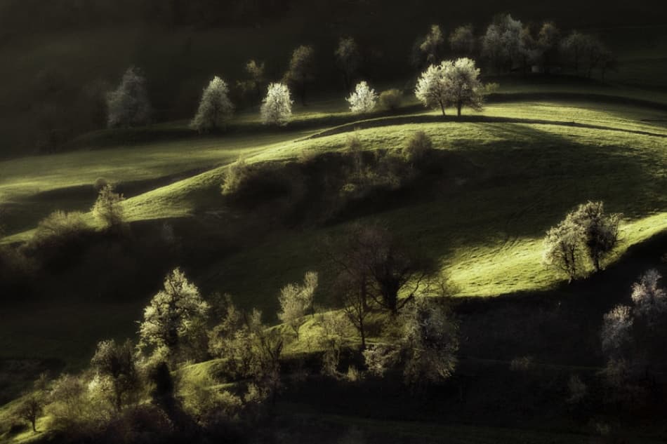 Rolling Sunlit Hills by Jure Kravanja — canvas wall art