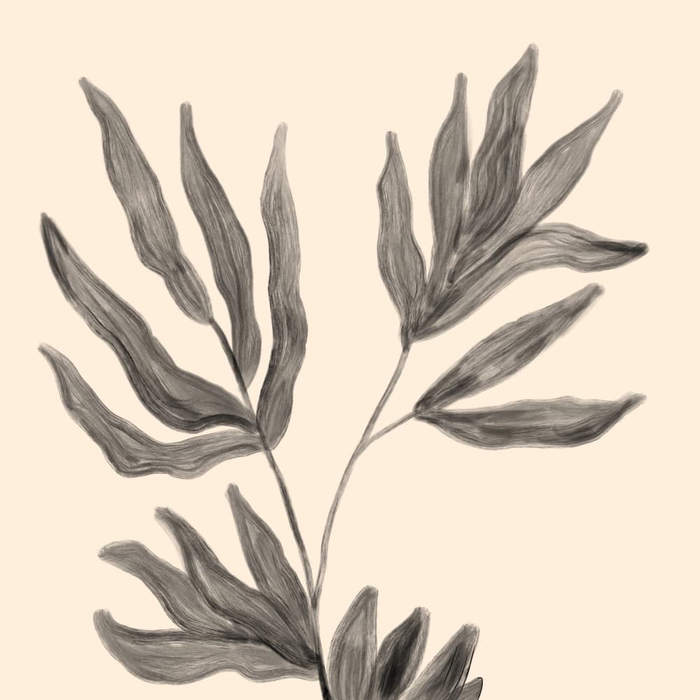 Organic Leaf Drawing by Aliya Putrus — canvas wall art
