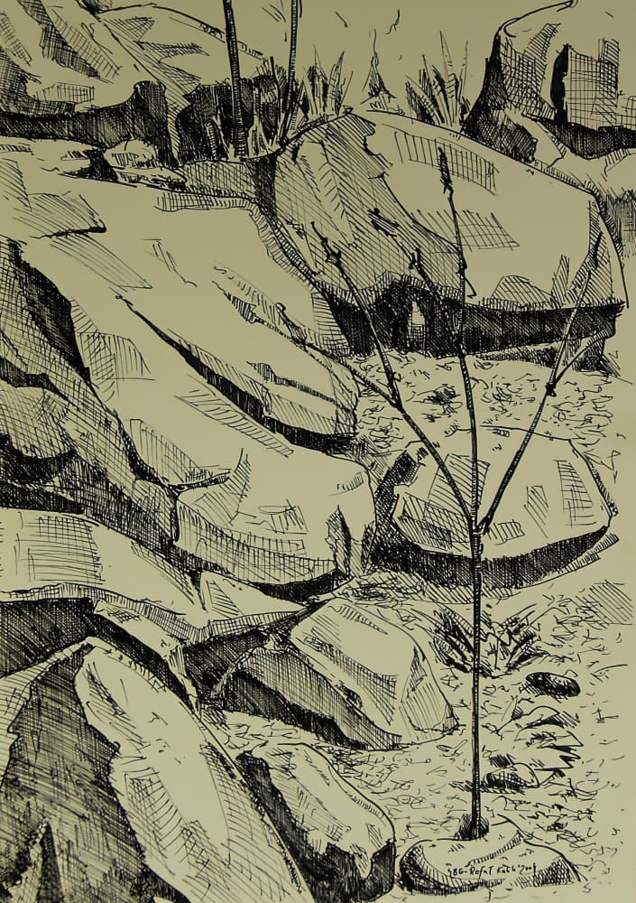 Young Tree Among Rocks by Kulik — canvas wall art