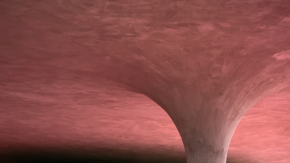 Sculptural Pink Column by Lus Joosten — canvas wall art