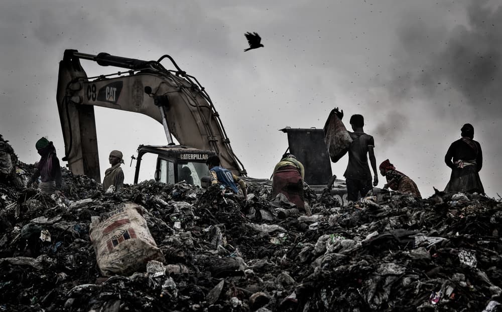 Life on the Landfill by Joxe Inazio Kuesta Garmendia — canvas wall art