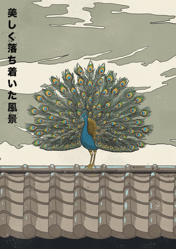 Elegant Japanese Peacock