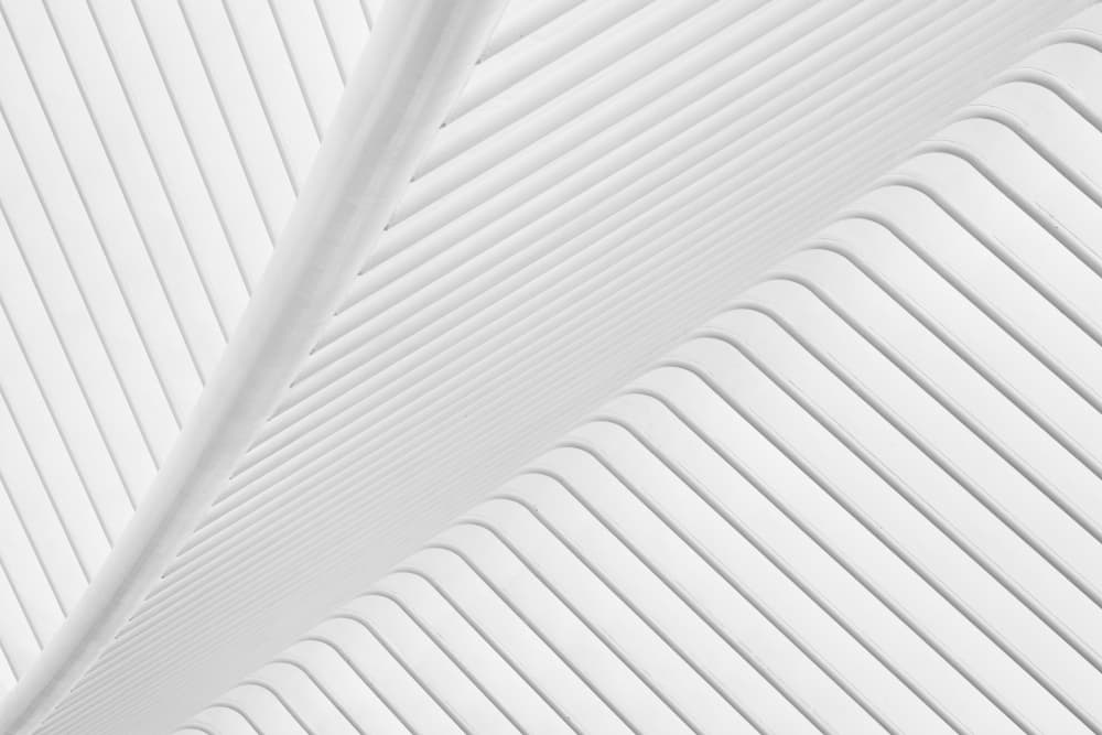Modern Architectural Curves by Greetje van Son — canvas wall art