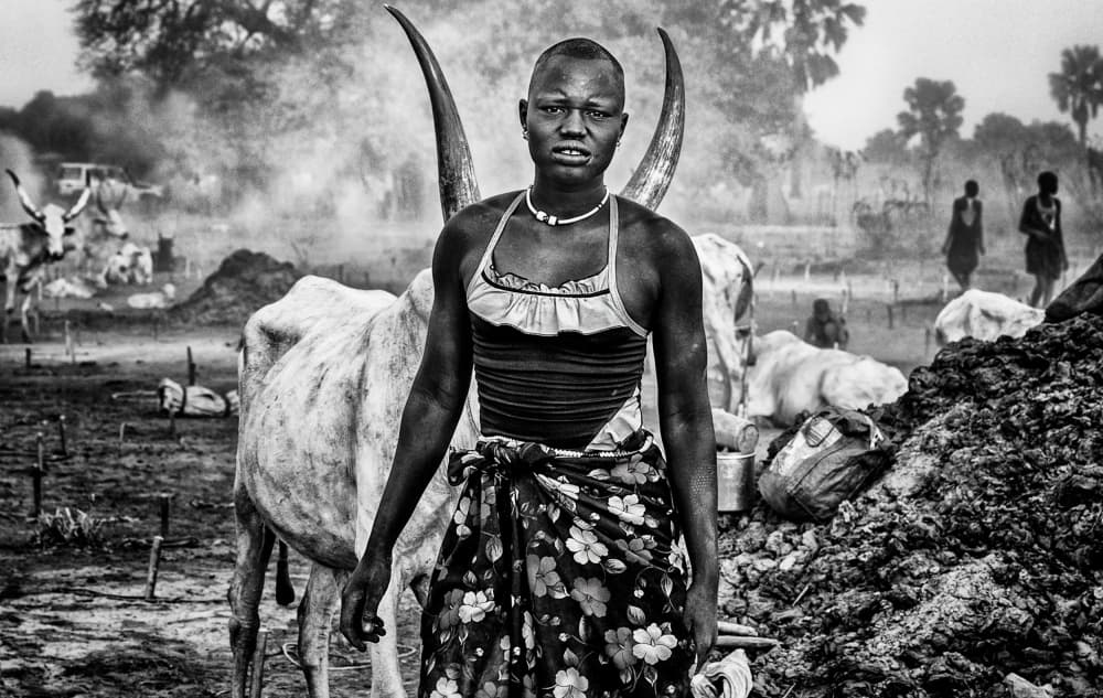 Dinka Woman and Cattle by Joxe Inazio Kuesta Garmendia — canvas wall art