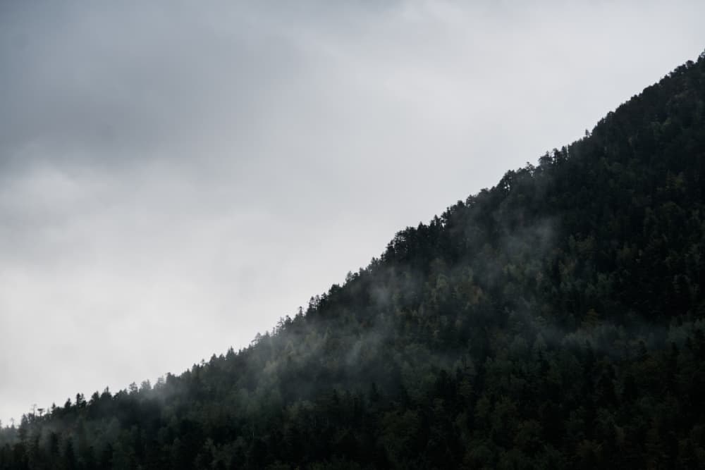 Misty Mountain Forest by Javier Pardina — canvas wall art
