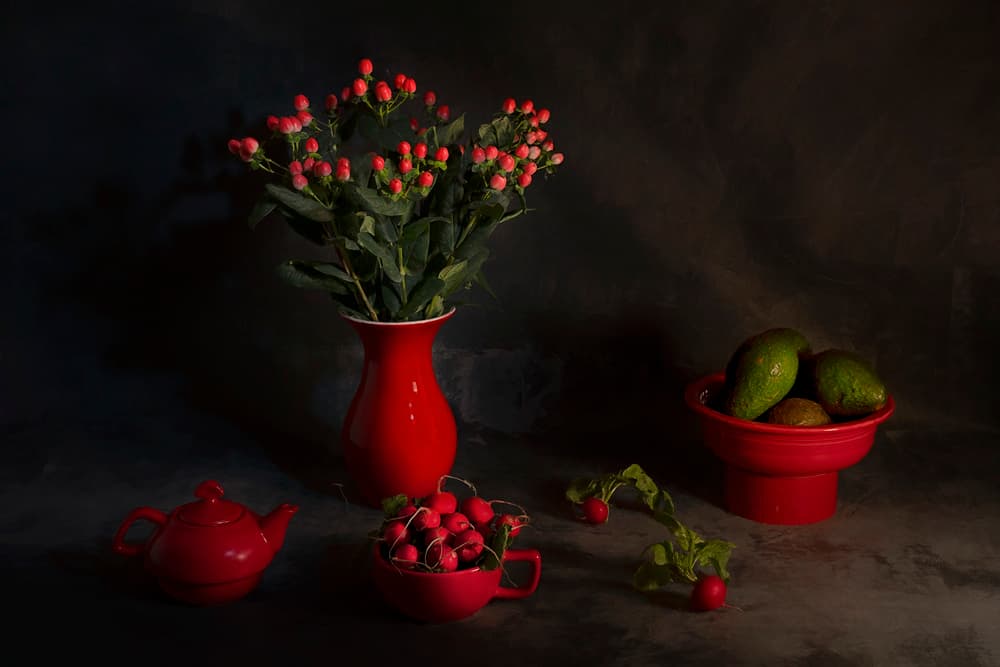 Moody Red Still Life by Lydia Jacobs — canvas wall art