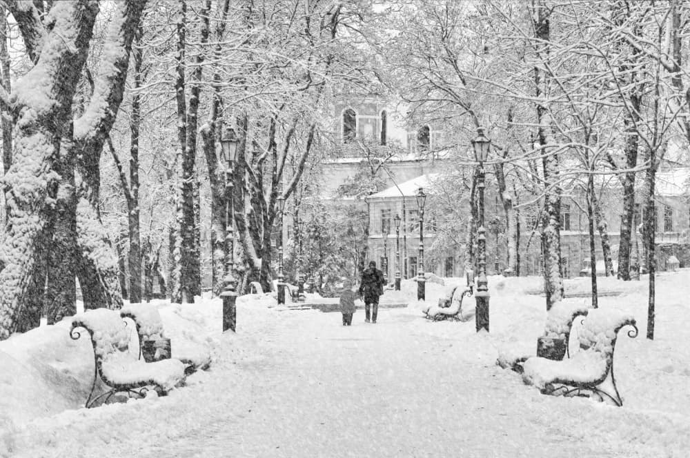 Snowy Park Path by Alexander Kiyashko — canvas wall art