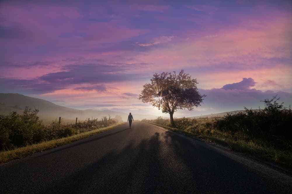 Misty Road Journey by Martin Marcisovsky — canvas wall art