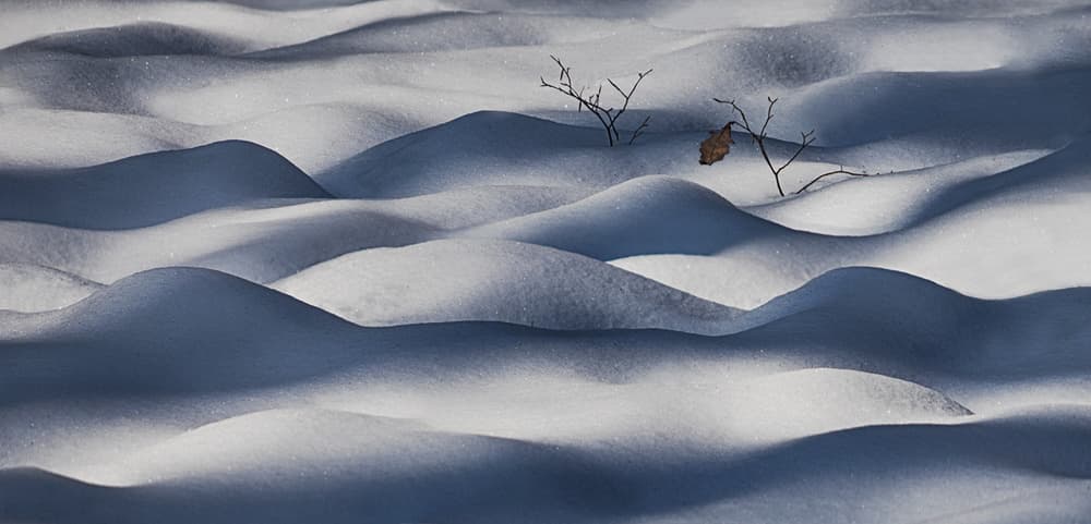 Winter Snow Curves by Peter Svoboda MQEP — canvas wall art