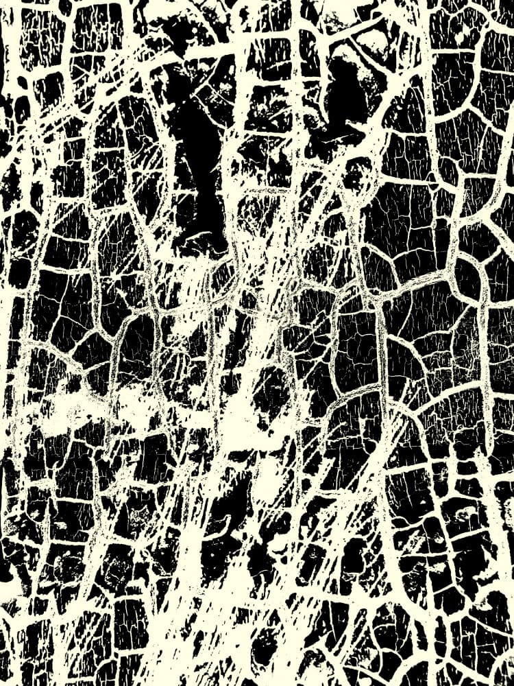 Cracked Grunge Texture by Petr Strnad — canvas wall art
