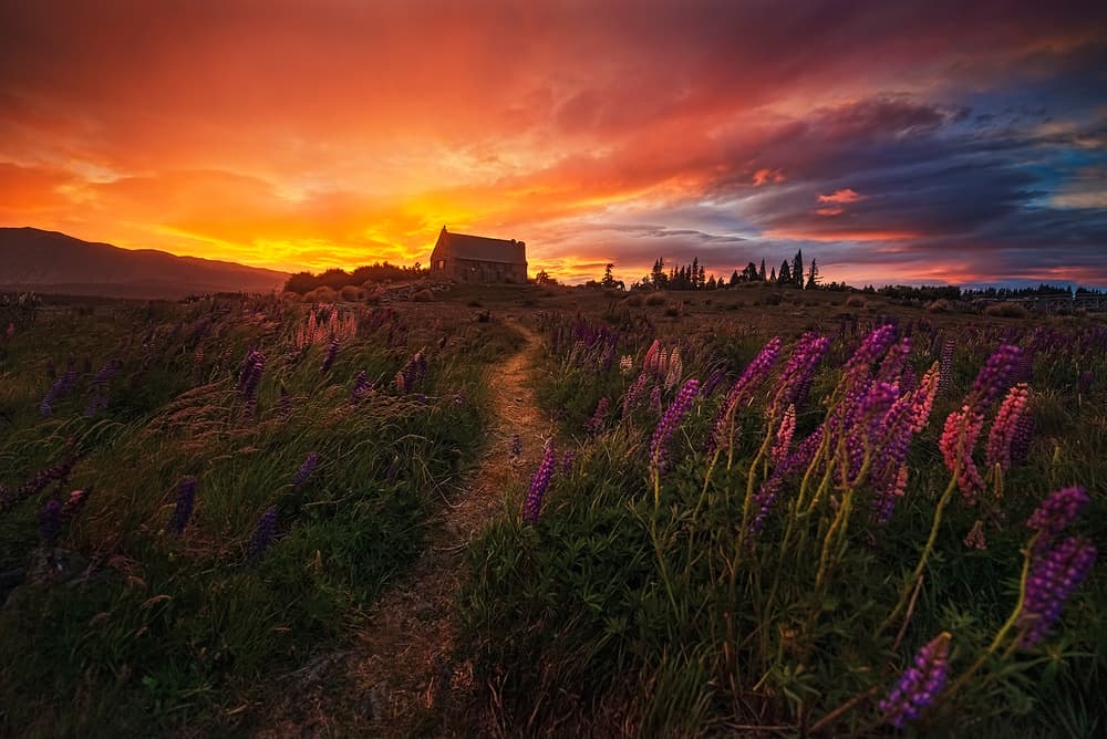 Vibrant Chapel Sunset by Yan Zhang — canvas wall art