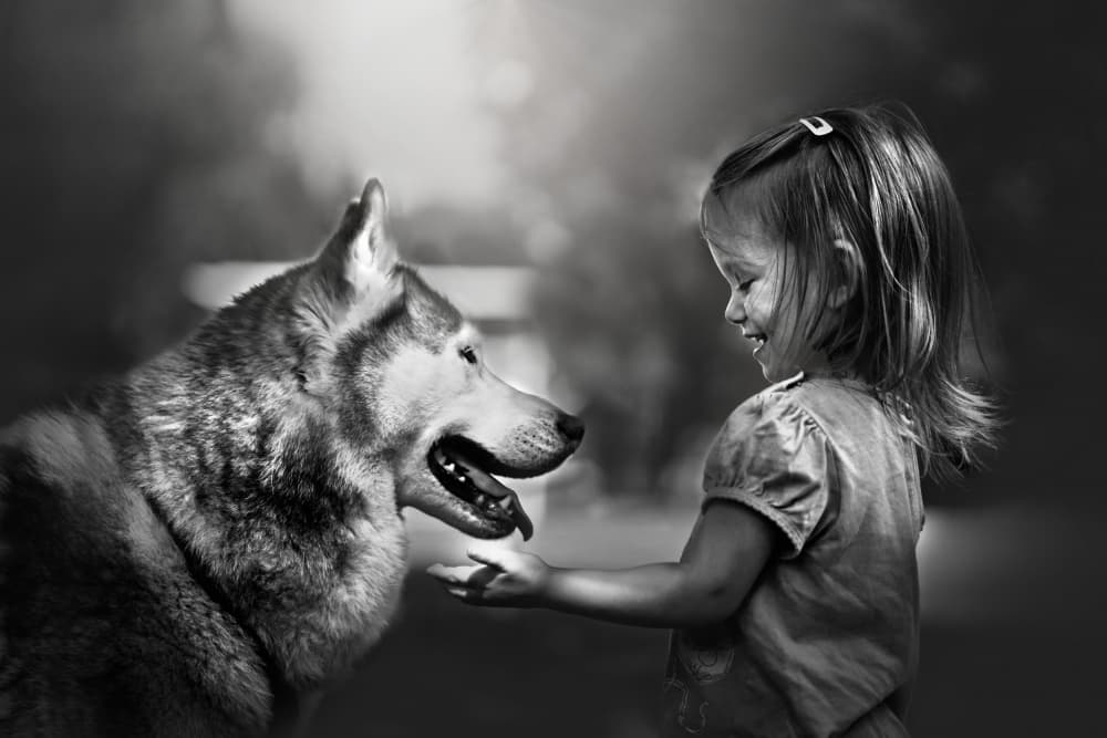 Little Girl And Husky by Kapuschinsky — canvas wall art
