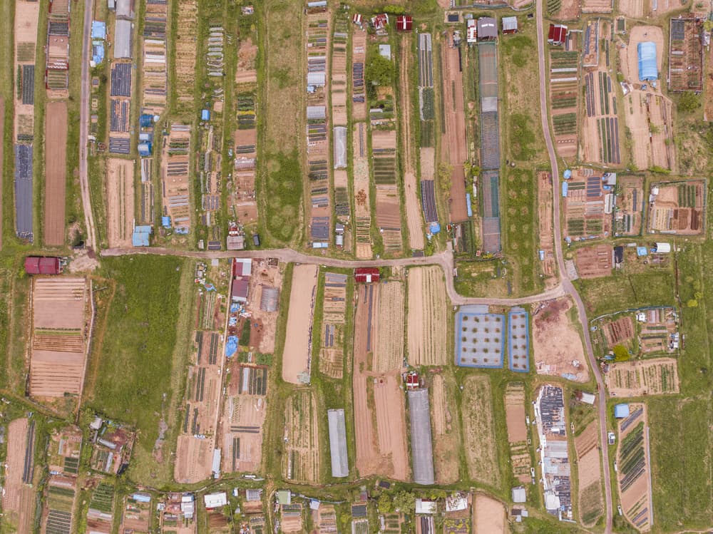 Aerial Farm Patterns by Kobayashi Tetsurou — canvas wall art
