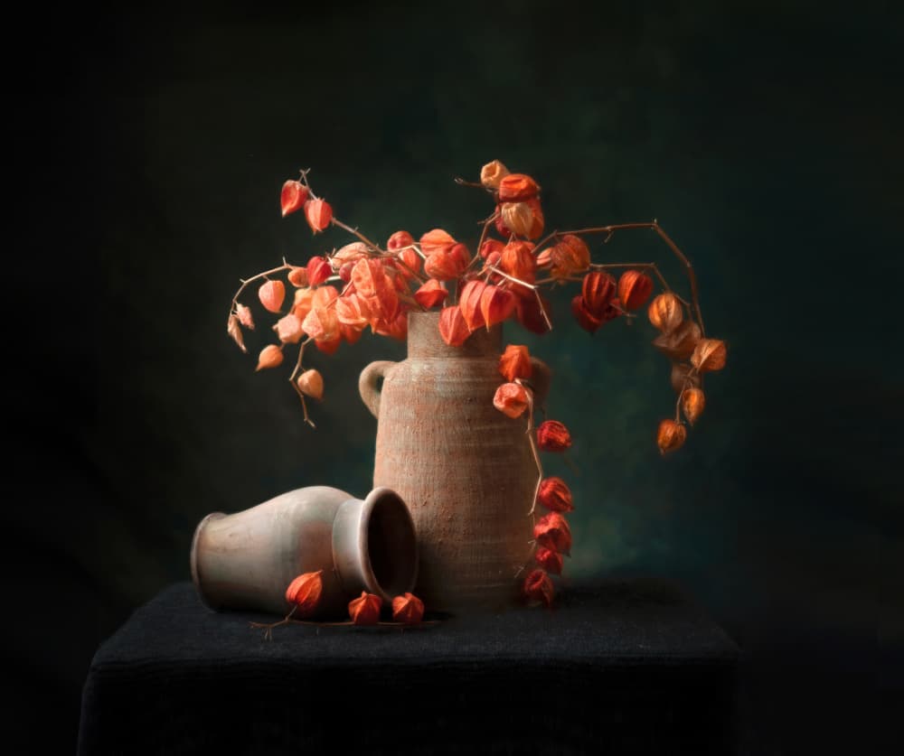 Rustic Chinese Lanterns Still Life by Catherine Wang — canvas wall art
