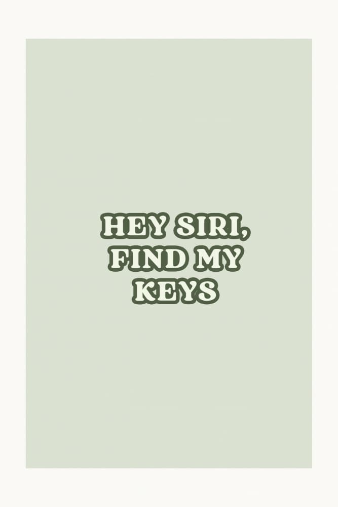 Hey Siri Find My Keys by Treechild — canvas wall art