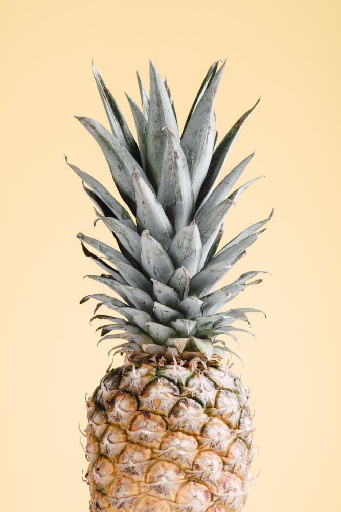 Vibrant Tropical Pineapple by Pictufy Studio III — canvas wall art