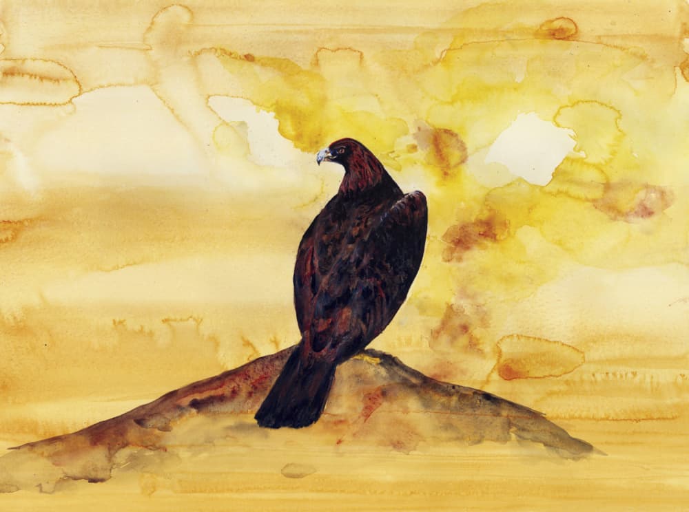 Majestic Golden Eagle by RodMacIver — canvas wall art