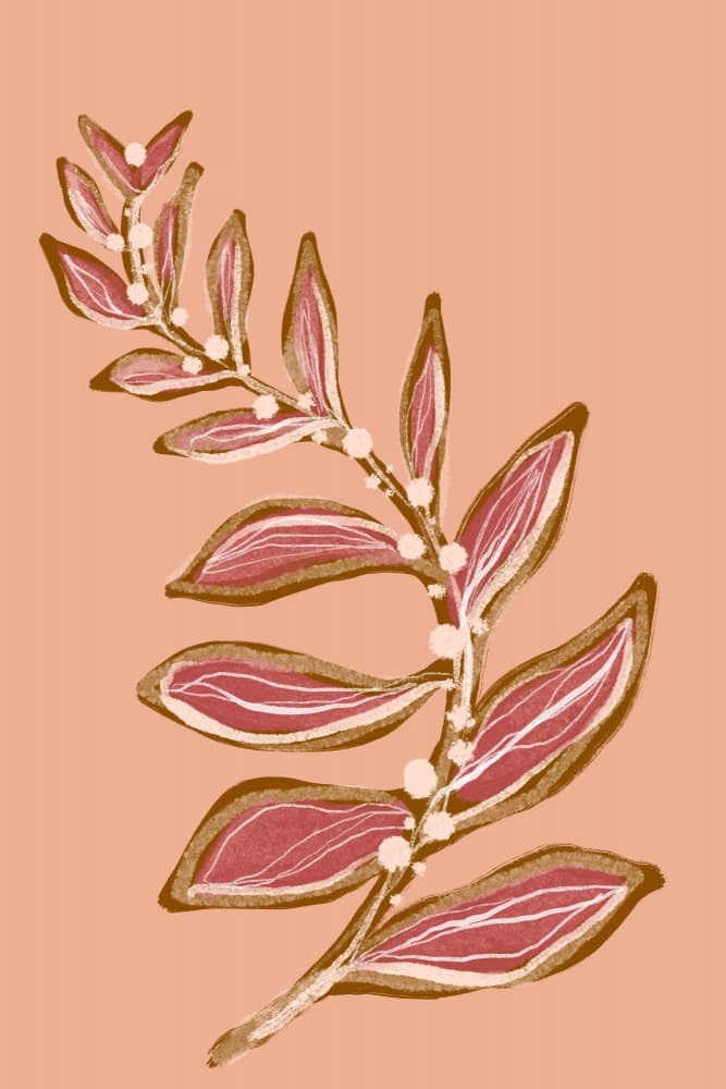 Blush Berry Branch by Gemma Bardot — canvas wall art