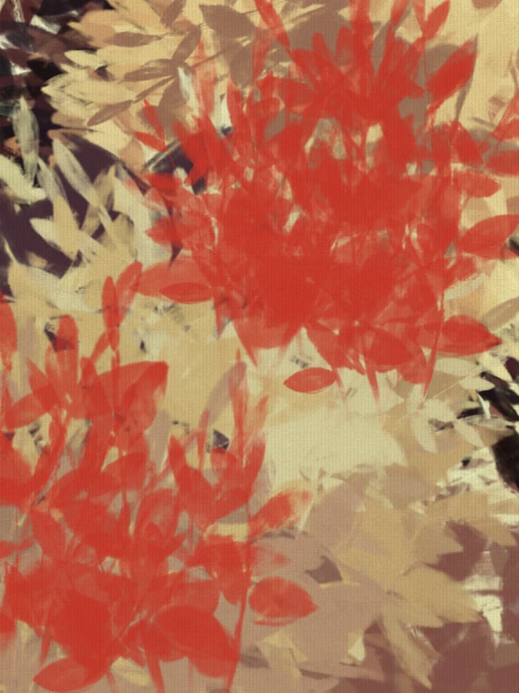 Warm Autumn Foliage by Dina Dankers — canvas wall art