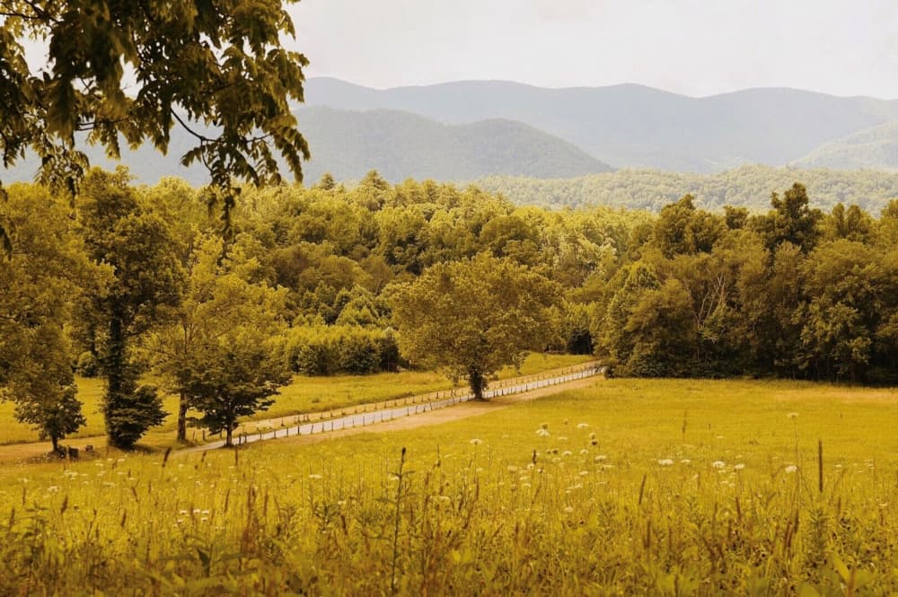 Golden Field Path by Del Mundo Imagery — canvas wall art