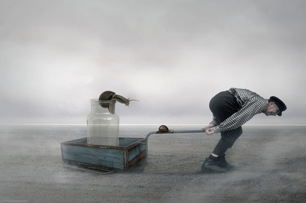 Absurd Snail Journey by Christine von Diepenbroek — canvas wall art