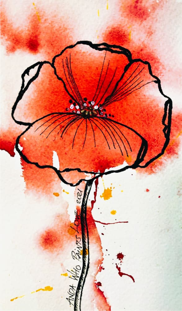 Red Watercolor Poppy by Anda Bieza — canvas wall art